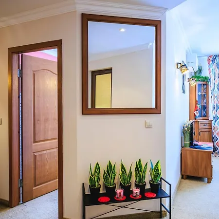 Peak 116 Apartment
